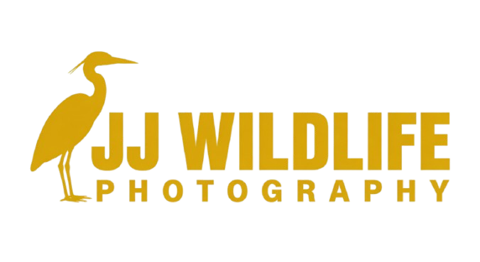 Photo Gallery