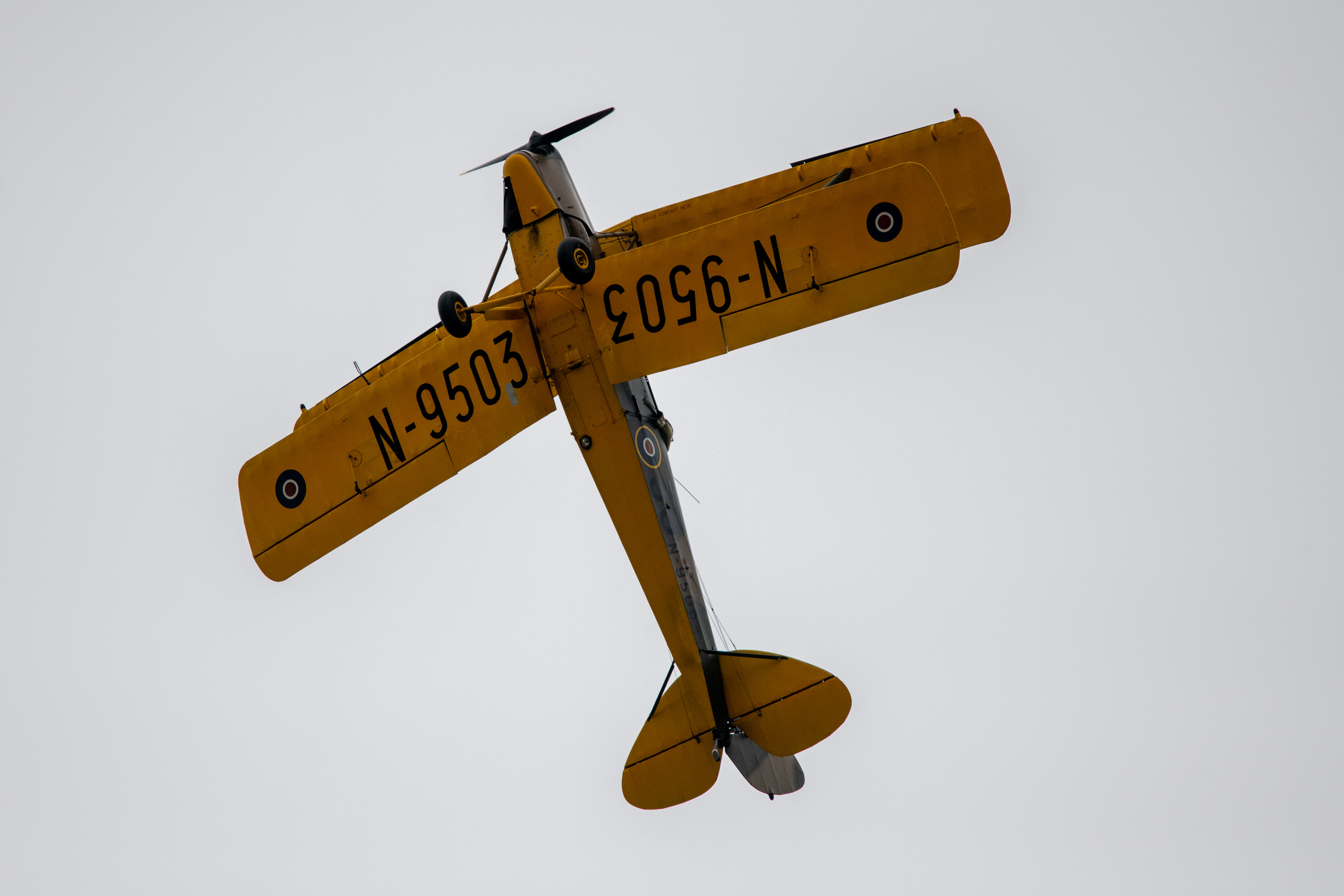 DSC 9319